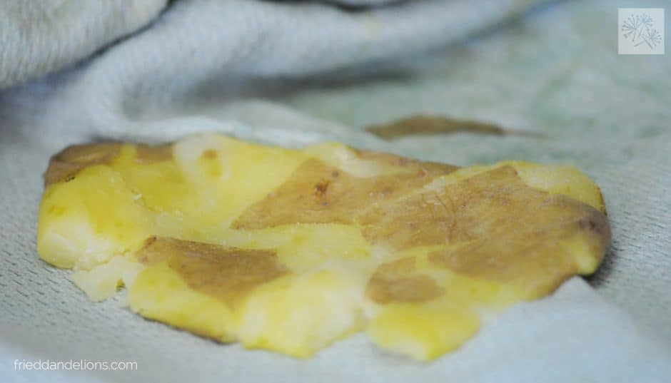 Baked Potato Nachos—Fried Dandelions