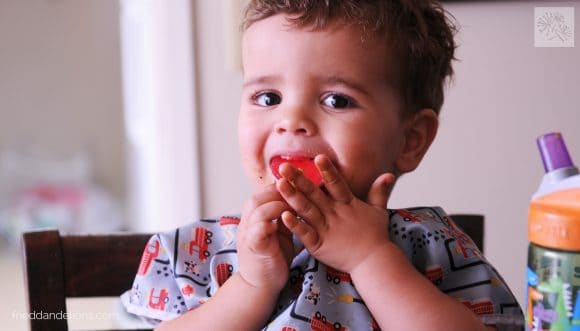 young boy eating Vegan Jello Jigglers