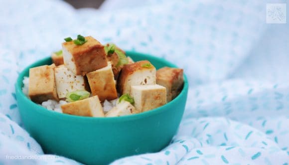 bowl of baked tofu with white background